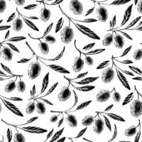 kalamata oliver skiss. dragen sömlös mönster vektor