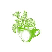 stevia symbol. vektor ljuv växt och kopp. organisk