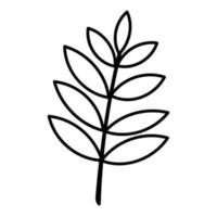 Blatt Laub Herbst Linie Symbol Wald Element vektor