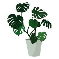 monstera deliciosa esp fri vektor