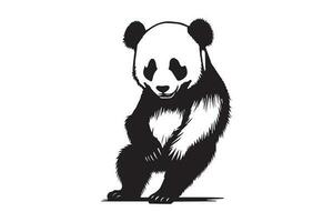Panda Silhouette Vektor Illustration isoliert auf Weiß Hintergrund.