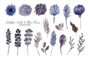 estetisk blå torkades blomma vattenfärg samling vektor
