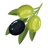 Olive Bohnen und Blatt Symbol isoliert vektor