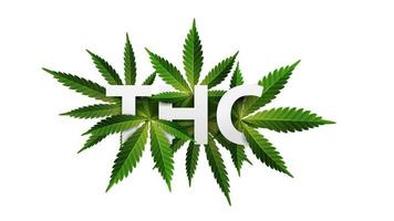 thc, Logo, Zeichen, Symbol. 3D-Titel verziert mit Cannabisblättern isoliert auf weißem Hintergrund