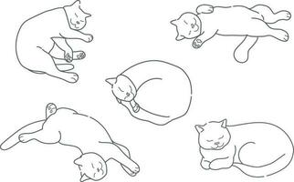 kontur teckning av en sovande katt i olika poserar. katt är sovande i annorlunda positioner. tömma kontur isolerat på en vit bakgrund. vektor illustration