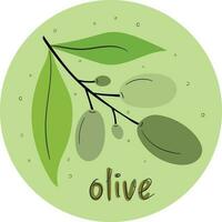 Olive Ast im runden gestalten isoliert auf Weiß Hintergrund. Vektor Illustration