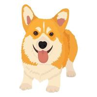 corgi hund isolerad på den vita bakgrundsvektorillustrationen vektor