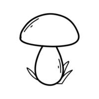 svamp i klotter stil. vektor illustration. linjär boletus. höst svamp.