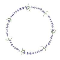 Lavendel Kranz. Hand gezeichnet Aquarell Blumen- Kreis Rahmen auf Weiß isoliert Hintergrund. Illustration von Lavandula Grenze. Vorlage zum Gruß Karten oder Hochzeit Einladungen mit Provence Kräuter vektor