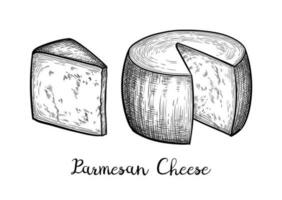 Parmesan Käse Rad und Block. Tinte skizzieren isoliert auf Weiß Hintergrund. Hand gezeichnet Vektor Illustration. Jahrgang Stil Schlaganfall Zeichnung.
