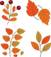 höst löv. samling av färgrik faller höst löv isolerat på vit bakgrund. vektor illustration.