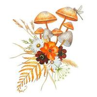 höst vattenfärg sammansättning. illustration med svamp, blommor, torr löv. vektor