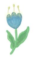 Blau leuchtenden Magie Blume, Farbe Illustration vektor