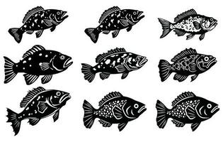 uppsättning bunt av grupperare fisk vektor, grupperare fisk illustration ikon. vektor