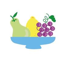 skål med ikoner för färsk frukt vektor