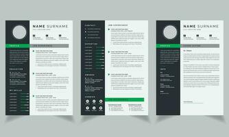 verkställande återuppta CV design och omslag brev layout vektor