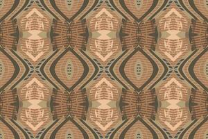 Motiv Ikat Paisley Stickerei Hintergrund. Ikat Design geometrisch ethnisch orientalisch Muster traditionell. Ikat aztekisch Stil abstrakt Design zum drucken Textur, Stoff, Saree, Sari, Teppich. vektor