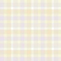 tartan pläd vektor sömlös mönster. traditionell skott rutig bakgrund. för skjorta tryckning, kläder, klänningar, bordsdukar, filtar, strö, papper, täcke, tyg och Övrig textil- Produkter.