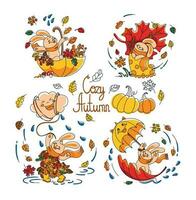 süß Hase ist spielen im das Park mit Herbst Blätter. gemütlich Herbst. Kinder Illustration. Vektor. vektor