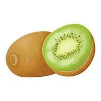 vektor isolerat illustration av en realistisk hela och halverad kiwi. en friska tropisk vitamin frukt.