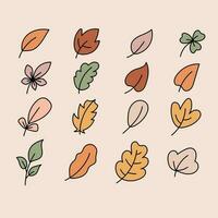 Hand gezeichnet Herbst Blatt fallen einfach eben Design vektor