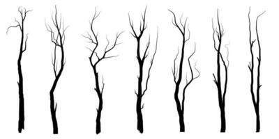 schwarze Zweige oder nackte Baumsilhouetten. handgezeichnete isolierte illustrationen. vektor