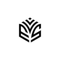 ves Hexagon Logo Vektor, entwickeln, Konstruktion, natürlich, Finanzen Logo, echt Anwesen, geeignet zum Ihre Unternehmen. vektor