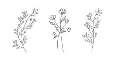 hand dragen vild fält flora, blommor, löv, örter, växter, grenar. minimal blommig botanisk linje konst. vektor illustration för logotyp eller tatuering, inbjudningar, spara de datum kort.