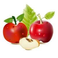 röd och grön äpple frukt med skära och grön löv. vektor