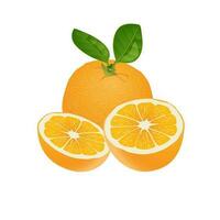 orange frukt saftig gul mogen konst illustration vektor