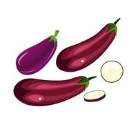 Aubergine Gemüse Aubergine, ganze Obst und Scheiben. Vektor Illustration isoliert auf Weiß.