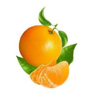 Orange Obst saftig Gelb reif Kunst Illustration vektor