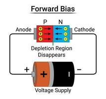 pn Kreuzung Diode nach vorne vorspannen vektor