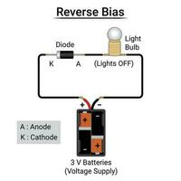 umkehren vorspannen Diode Experiment vektor