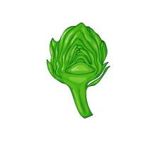 gehackt organisch Artischocke isoliert auf Weiß Hintergrund. Grün Gemüse Illustration. vektor
