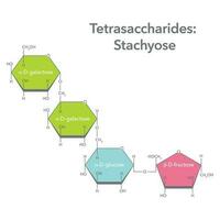 Tetrasaccharid Stachyose Biochemie Vektor Illustration Diagramm Grafik