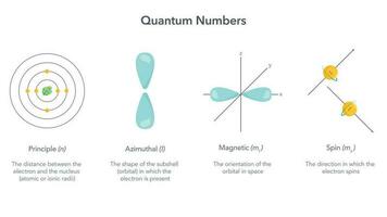 Quantum Zahlen Physik Vektor Illustration Infografik