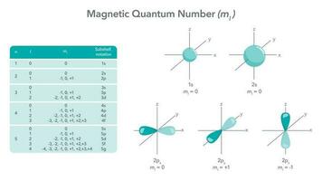 magnetisk kvant siffra fysik vektor illustration diagram