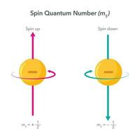 rotieren Quantum Nummer Physik Vektor Illustration Infografik