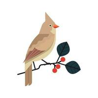 Vogel auf Baum Ast isoliert auf Weiß Hintergrund. Illustration. Digital Kunst. dekorativ Element. vektor