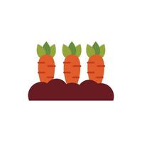 färska morötter grönsaker platt stil vektor
