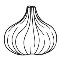 Knoblauch Birne, Knoblauch Symbol, Gemüse zum Kochen und Würze vektor