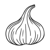 Knoblauch Birne, Knoblauch Symbol, Gemüse zum Kochen und Würze vektor