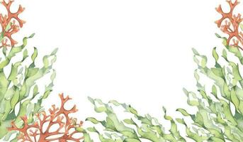 styrelse av hav växter, korall vattenfärg illustration isolerat på vit bakgrund. rosa agar agar tång, laminaria hand ritade. design element för paket, märka, reklam, marin samling vektor