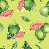 ganze Guave und Scheiben, Blätter Aquarell nahtlos Muster isoliert auf Gelb. tropisch Frucht, Rosa, Gelb Fruchtfleisch Guajava Hand gezeichnet. Design zum Verpackung, Verpackung, Textil, Hintergrund, Hintergrund vektor