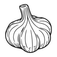 Knoblauch Birne, Knoblauch Symbol, Gemüse zum Kochen und Würze vektor