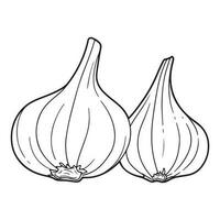 Knoblauch Birne, Knoblauch Symbol, Gemüse zum Kochen und Würze vektor