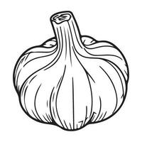 Knoblauch Birne, Knoblauch Symbol, Gemüse zum Kochen und Würze vektor