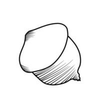 falla löv ekollon höst linje konst illustration vektor
