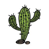 Saguaro Kaktus Vektor Symbol. Grün Wüste Pflanze mit Steine. süß stachelig saftig isoliert auf Weiß. Hand gezeichnet Illustration mit Umriss. eben Karikatur Clip Art zum Poster, drucken, Netz, Karte